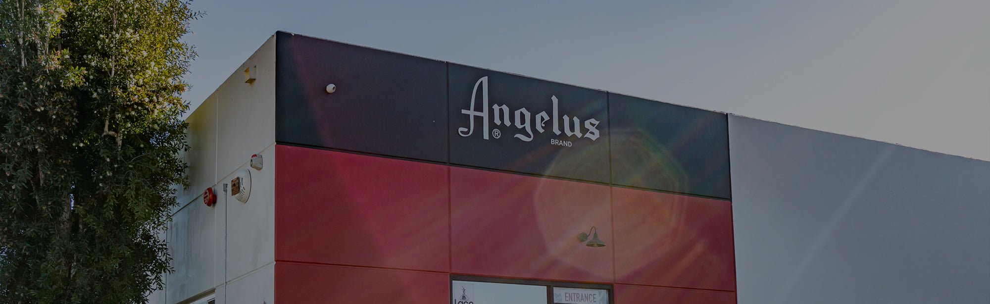 Brown Paint - Angelus Direct