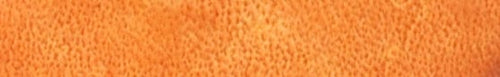 Gold Leather Dye color swatch