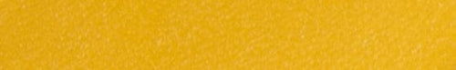 Angelus Mustard Paint color swatch