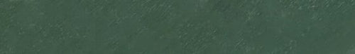 Angelus Olive Paint color swatch