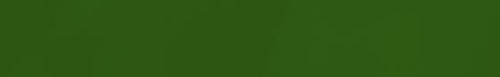 Rit DyeMore Synthetic Fiber Dye - Peacock Green color swatch