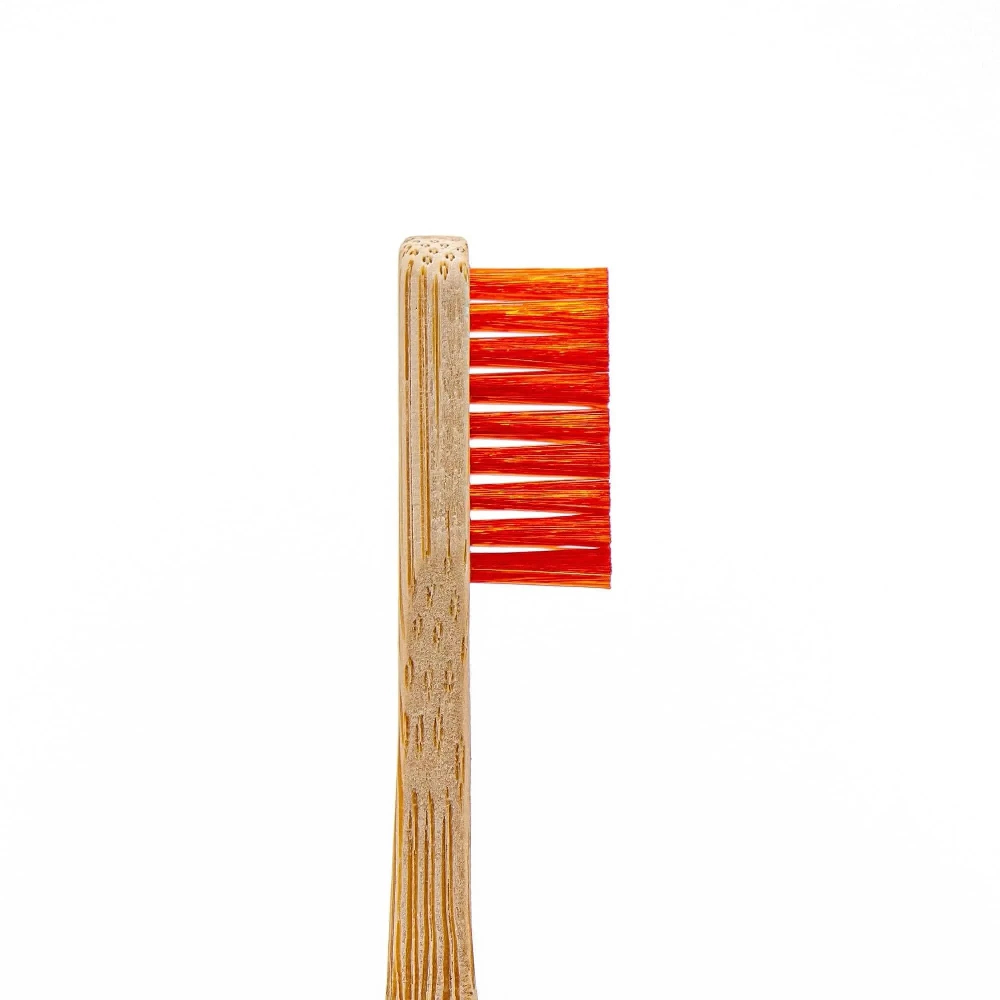 Angelus Direct Detail Cleaning Brush Set 1 Set of 2 Accessories
