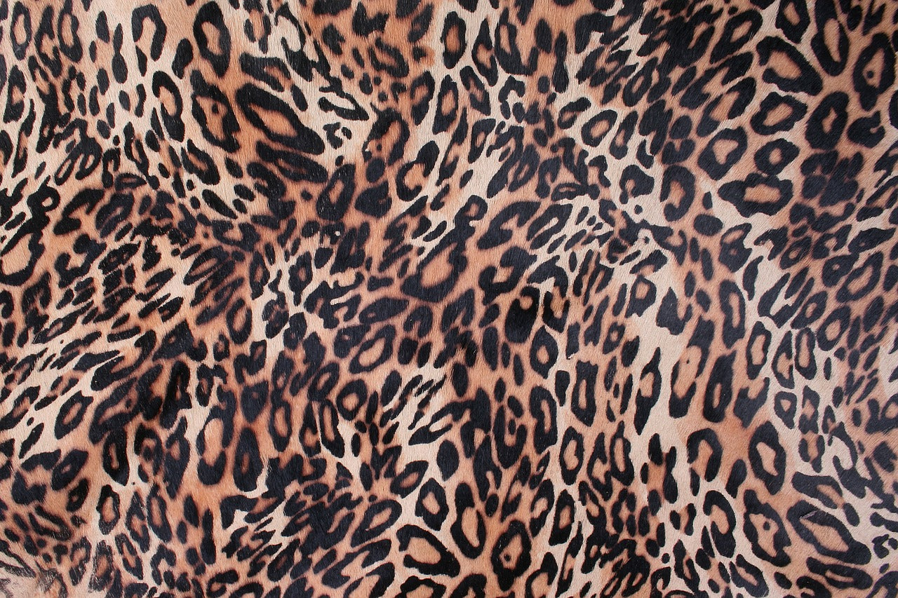 leopard leather print 