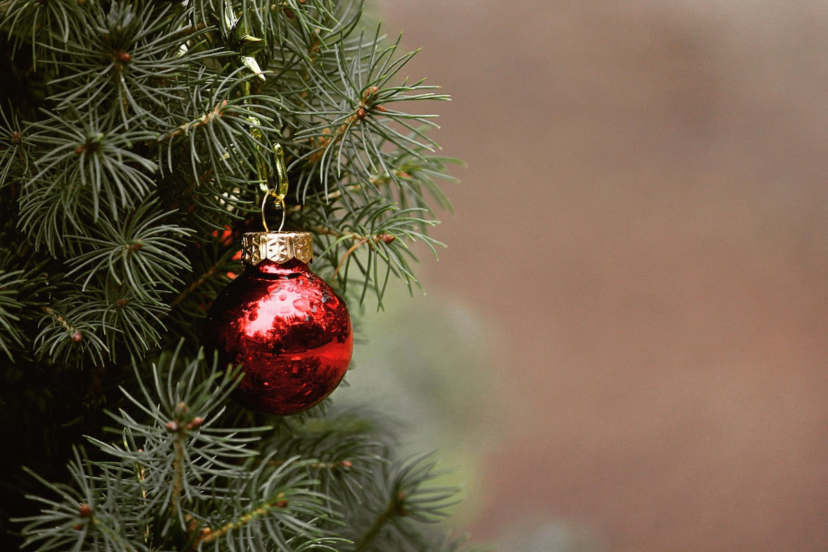 Ornament 