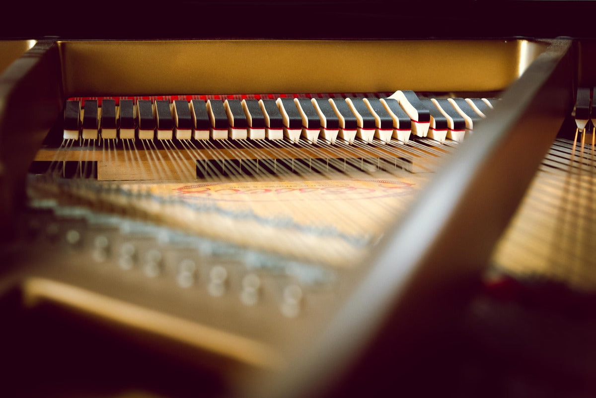 Piano Set 