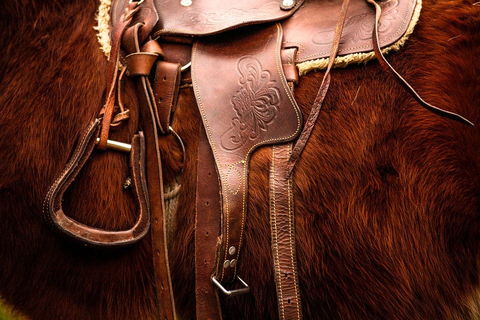 Close-up of a leather saddle and straps on a horse, illustrating saddle soap vs leather conditioner for tack care.