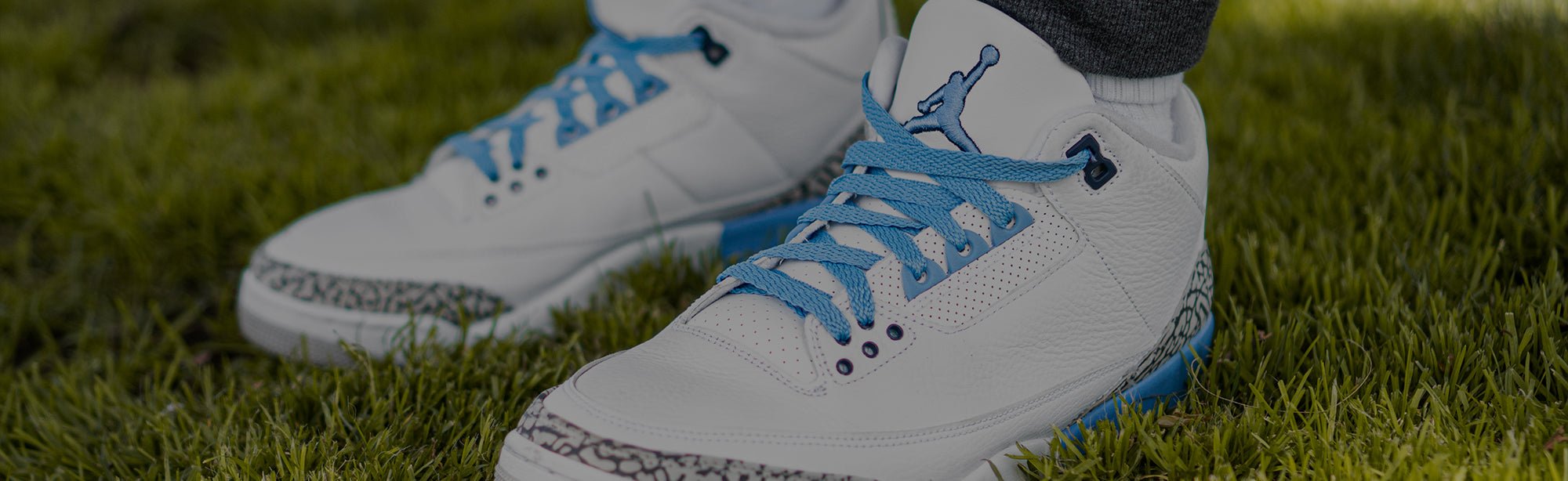 Flat Shoe Laces - Angelus Direct 