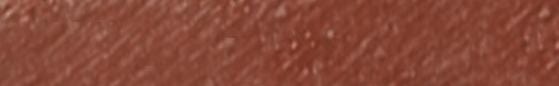Translation missing: en.Angelus English Tan Paint products.badges.color_swatch
