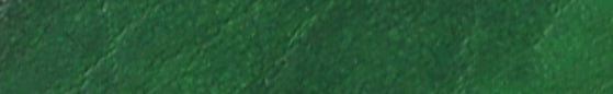 Translation missing: en.Angelus Green Leather Dye products.badges.color_swatch