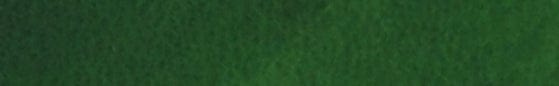Translation missing: en.Kelly Green Leather Dye products.badges.color_swatch