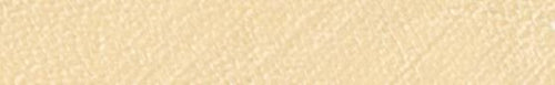 Angelus Champagne Paint color swatch