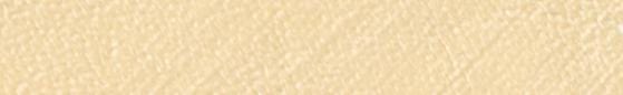 Translation missing: en.Angelus Champagne Paint products.badges.color_swatch