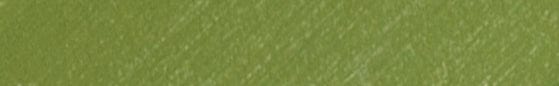 Translation missing: en.Angelus Avocado Green Paint products.badges.color_swatch