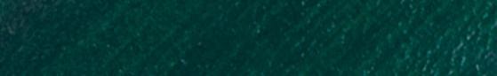 Translation missing: en.Angelus Dark Green Paint products.badges.color_swatch