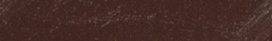 Translation missing: en.Angelus Rich Brown Paint products.badges.color_swatch