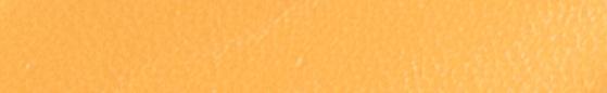 Translation missing: en.Angelus Caramel Paint products.badges.color_swatch