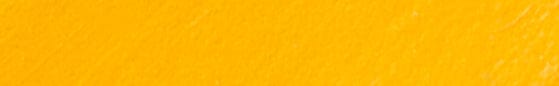 Translation missing: en.Collector Edition DTRT Yellow products.badges.color_swatch