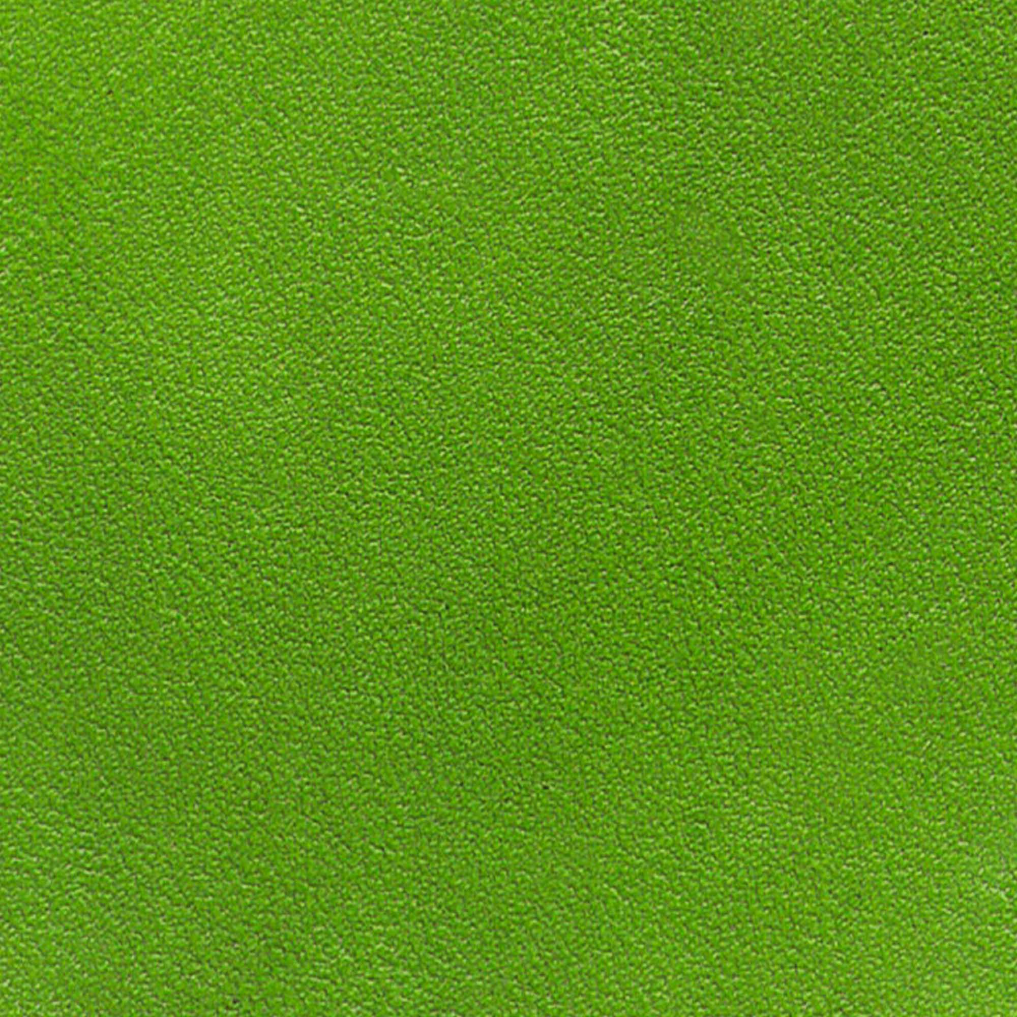 Kelly Green Leather Dye