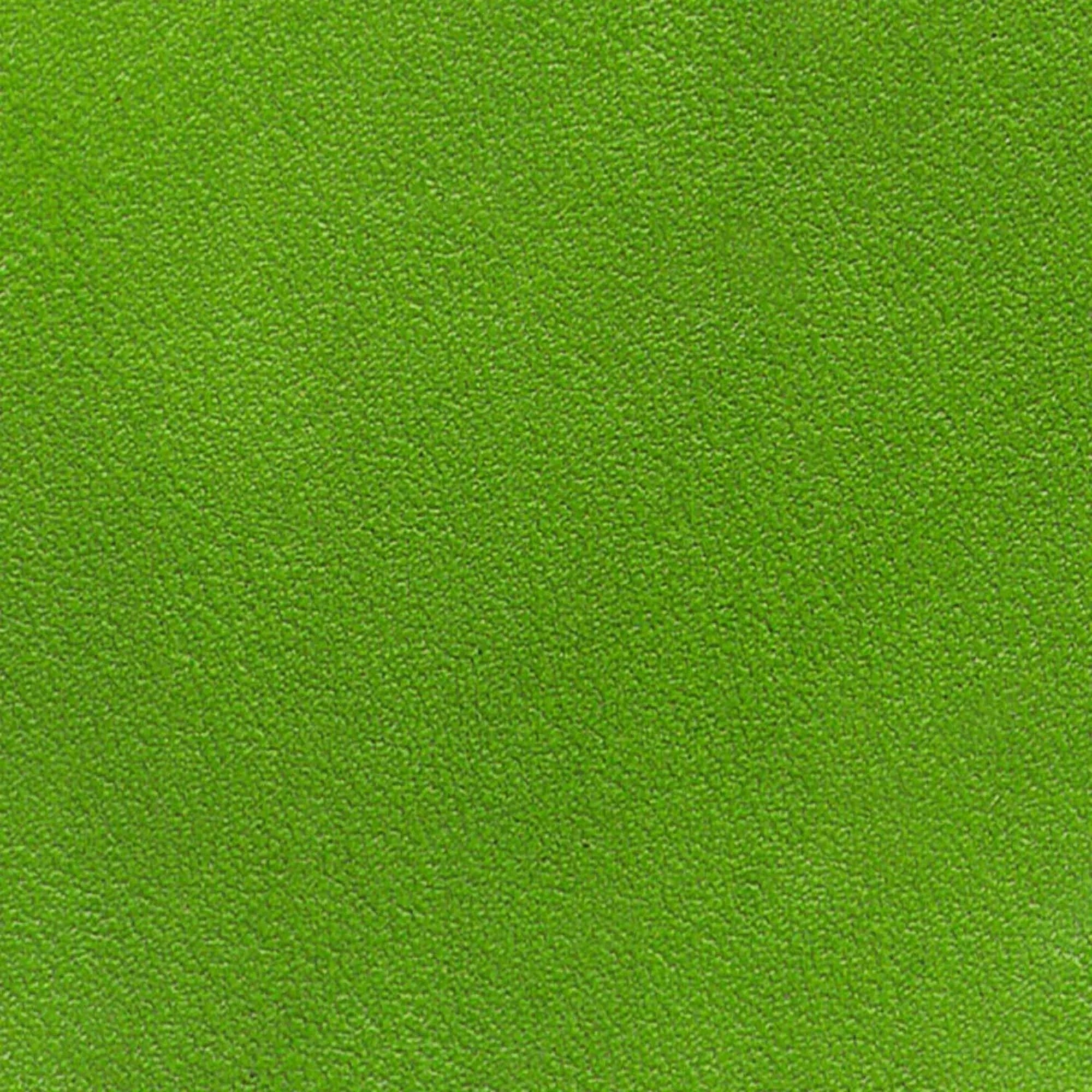 Kelly Green Leather Dye