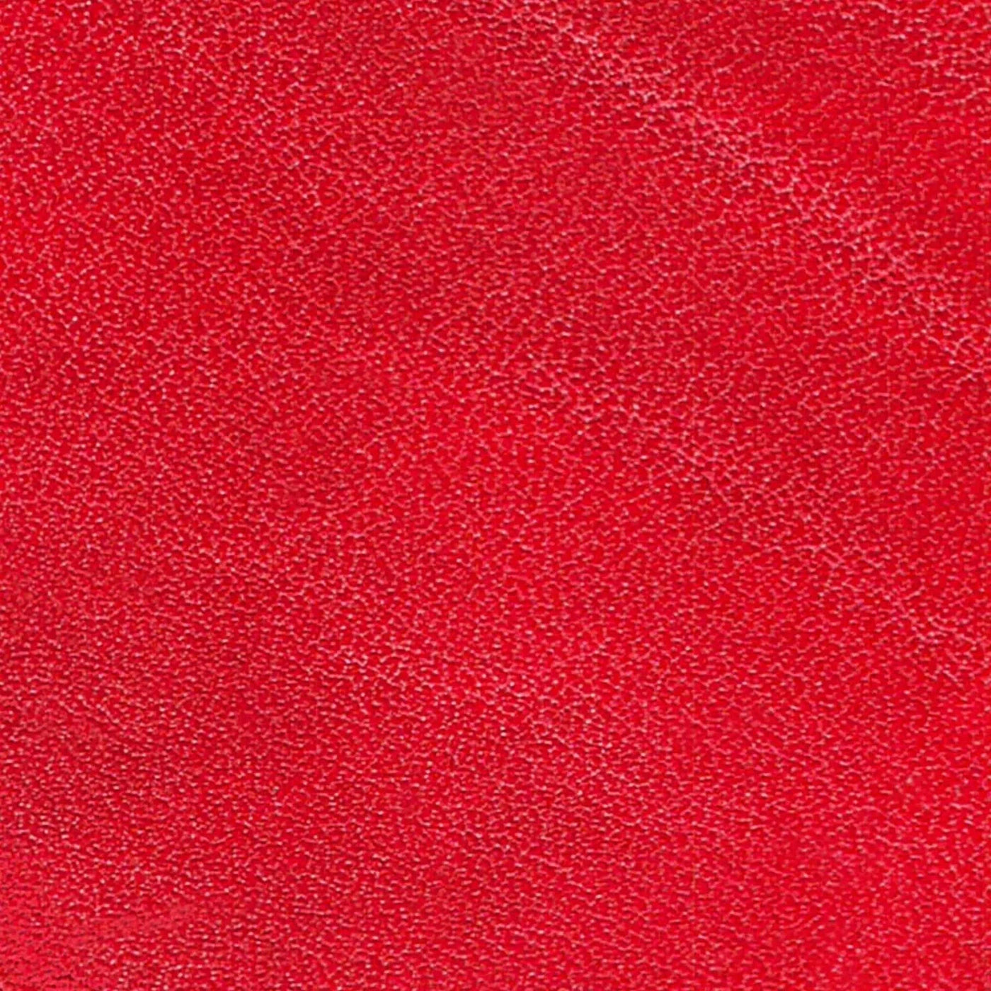 Angelus Direct Red Leather Dye Leather Dye