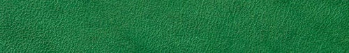 Green Low VOC Leather Dye color swatch