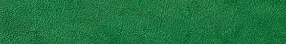 Translation missing: en.Green Low VOC Leather Dye products.badges.color_swatch