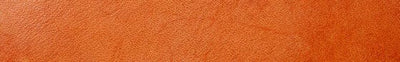 swatch icon