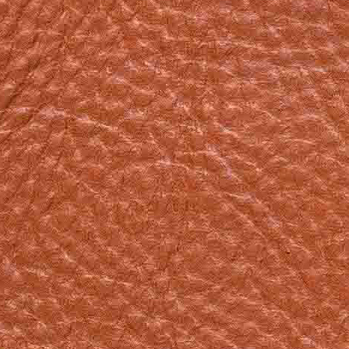 4-Coat Matte Leather Swatch