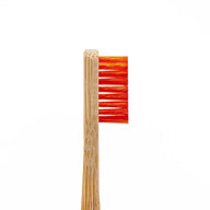 Angelus Direct Detail Cleaning Brush Set 1 Set of 2 Accessories