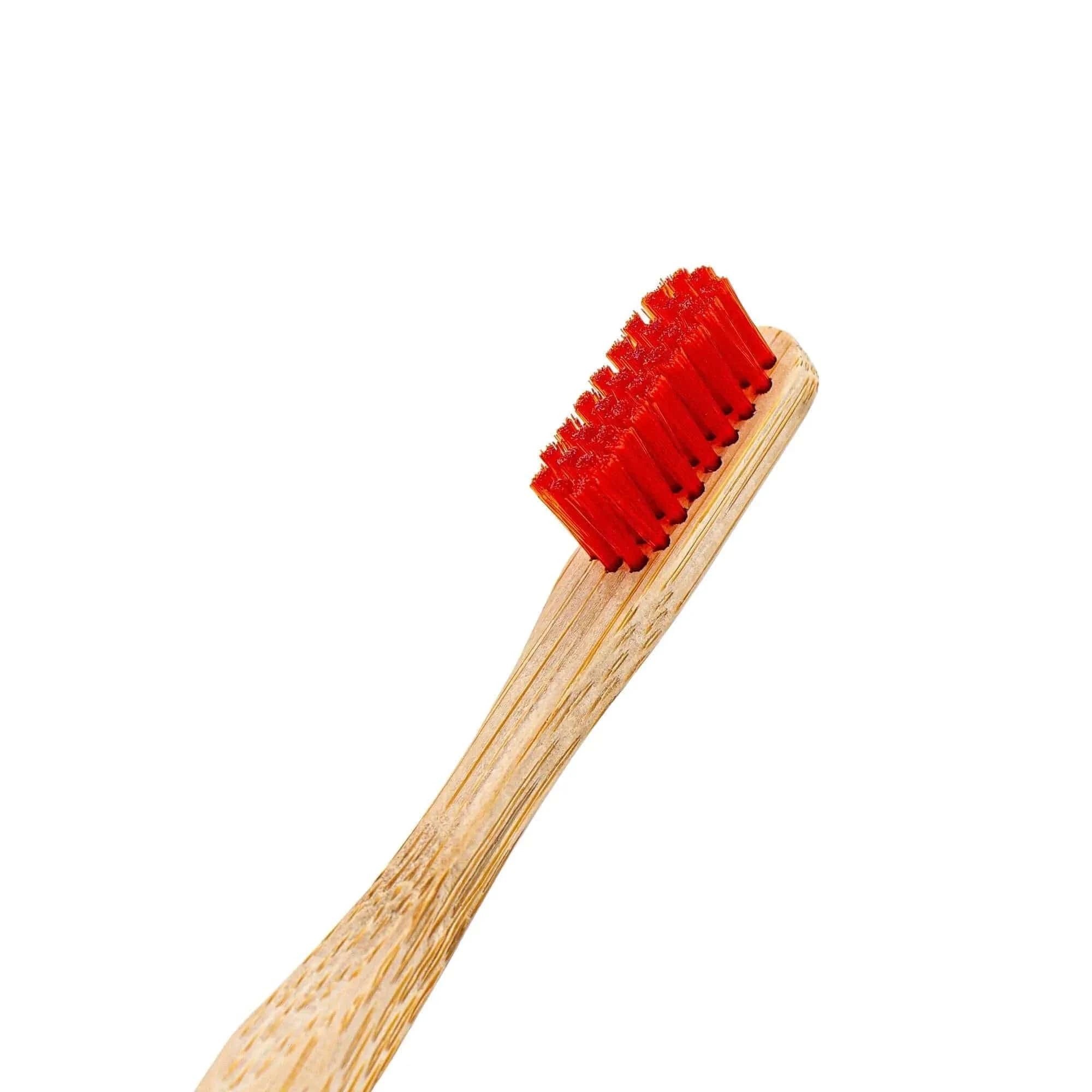 Angelus Direct Detail Cleaning Brush Set 1 Set of 2 Accessories